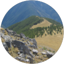 Julia DANIEL profile picture